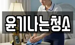 윤기나는청소