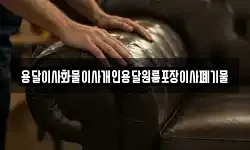 용달이사화물이사개인용달원룸포장이사폐기물