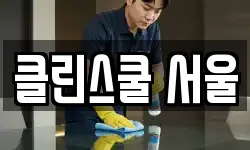 클린스쿨 서울