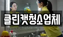 클린캣청소업체