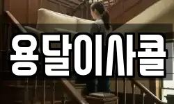용달이사콜