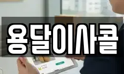 용달이사콜