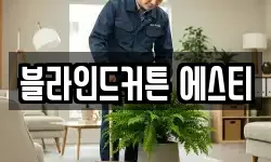 블라인드커튼 에스티