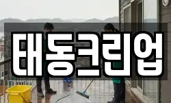 태동크린업