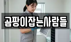 서울특별시 중구 초동 청소,입주청소,사무실청소,에어컨청소