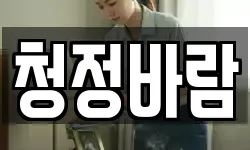 청정바람