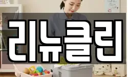 리뉴클린