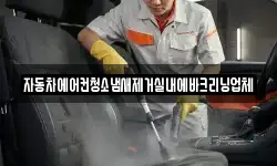 자동차에어컨청소냄새제거실내에바크리닝업체