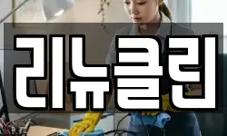 리뉴클린