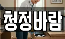 청정바람