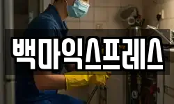 백마익스프레스
