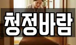 청정바람