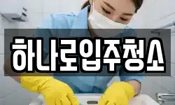 하나로입주청소