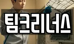 팀크리너스