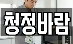 청정바람