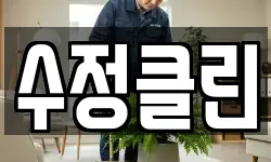 수정클린
