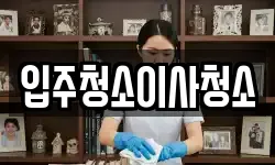 입주청소이사청소