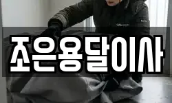 조은용달이사