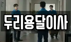 두리용달이사