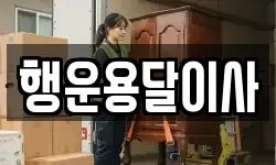 행운용달이사