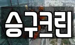 승구크린