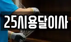25시용달이사