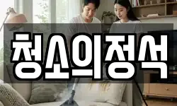 청소의정석