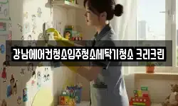 강남에어컨청소입주청소세탁기청소 크리크린