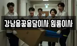 강남용꿈용달이사 원룸이사