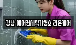 강남 에어컨세탁기청소 라온케어