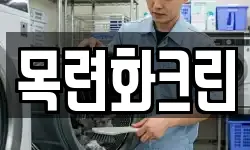 목련화크린