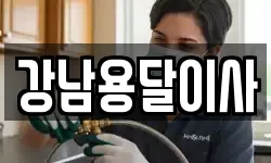 강남용달이사