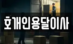 호개인용달이사