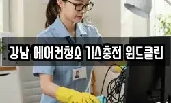 강남 에어컨청소 가스충전 윈드클린