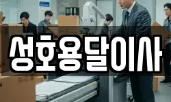 성호용달이사
