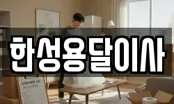 한성용달이사