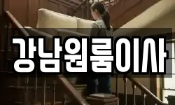 서울 강남구 도곡동 이사,용달이사,포장이사,원룸이사,보관이사