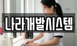 나라개발시스템