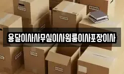 용달이사사무실이사원룸이사포장이사