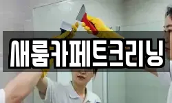 새룸카페트크리닝