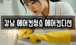 강남 에어컨청소 에어컨디션