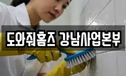 도와줘홈즈 강남사업본부