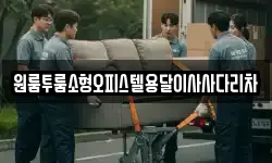 원룸투룸소형오피스텔용달이사사다리차