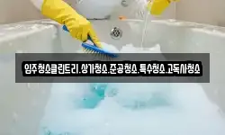 입주청소클린트리.상가청소.준공청소.특수청소.고독사청소