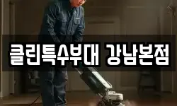 클린특수부대 강남본점