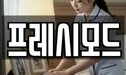 프레시모드