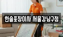 서울 강남구 역삼동 이사,용달이사,포장이사,원룸이사,보관이사