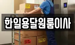 한일용달원룸이사