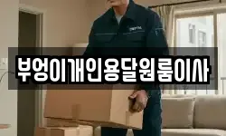 부엉이개인용달원룸이사
