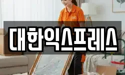 대한익스프레스